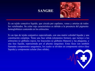 SANGRE

Es un tejido conectivo líquido, que circula por capilares, venas y arterias de todos
los vertebrados. Su color rojo característico es debido a la presencia del pigmento
hemoglobínico contenido en los eritrocitos
Es un tipo de tejido conjuntivo especializado, con una matriz coloidal líquida y una
constitución compleja. Tiene una fase sólida (elementos formes), que incluye a los
eritrocitos (o glóbulos rojos), los leucocitos (o glóbulos blancos) y las plaquetas, y
una fase líquida, representada por el plasma sanguíneo. Estas fases son también
llamadas componentes sanguíneos, los cuales se dividen en componente sérico (fase
líquida) y componente celular (fase sólida).

 