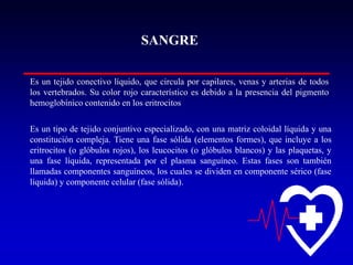 SANGRE
Es un tejido conectivo líquido, que circula por capilares, venas y arterias de todos
los vertebrados. Su color rojo característico es debido a la presencia del pigmento
hemoglobínico contenido en los eritrocitos
Es un tipo de tejido conjuntivo especializado, con una matriz coloidal líquida y una
constitución compleja. Tiene una fase sólida (elementos formes), que incluye a los
eritrocitos (o glóbulos rojos), los leucocitos (o glóbulos blancos) y las plaquetas, y
una fase líquida, representada por el plasma sanguíneo. Estas fases son también
llamadas componentes sanguíneos, los cuales se dividen en componente sérico (fase
líquida) y componente celular (fase sólida).

 