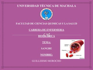 UNIVERSIDAD TÉCNICA DE MACHALA

FACULTAD DE CIENCIAS QUIMICAS Y LA SALUD
CARRERA DE ENFERMERIA
BIOQUÍMICA
TEMA:
SANGRE
NOMBRE:
GUILLERMO MOROCHO

 