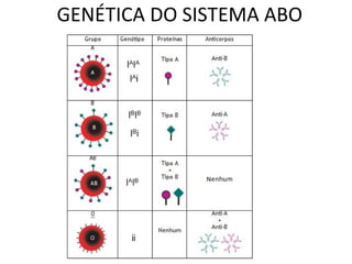 GENÉTICA DO SISTEMA ABO
 