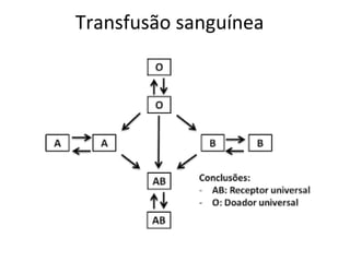Transfusão sanguínea
 