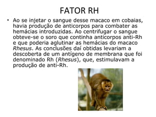 FATOR RH
• Ao se injetar o sangue desse macaco em cobaias,
havia produção de anticorpos para combater as
hemácias introduzidas. Ao centrifugar o sangue
obteve-se o soro que continha anticorpos anti-Rh
e que poderia aglutinar as hemácias do macaco
Rhesus. As conclusões daí obtidas levariam a
descoberta de um antígeno de membrana que foi
denominado Rh (Rhesus), que, estimulavam a
produção de anti-Rh.
 