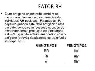 FATOR RH
• É um antígeno encontrado também na
membrana plasmática das hemácias de
indivíduos RH positivos. Falamos em Rh
negativo quando este fator antigênico está
ausente, sendo estas pessoas capazes de
responder com a produção de anticorpos
anti -Rh , quando entram em contato com o
antígeno (através da placenta ou transfusão
incompatível) .
 