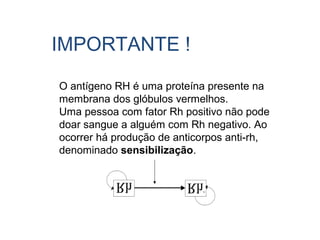 O antígeno RH é uma proteína presente na
membrana dos glóbulos vermelhos.
Uma pessoa com fator Rh positivo não pode
doar sangue a alguém com Rh negativo. Ao
ocorrer há produção de anticorpos anti-rh,
denominado sensibilização. 
IMPORTANTE !
 
