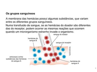 As funções de nutrição
Os grupos sanguíneos
A membrana das hemácias possui algumas substâncias, que variam
entre os diferentes grupos sanguíneos.
hemácias do
sangue B
anticorpos contra
substâncias das hemácias
do sangue A
sangue do doador
sangue do receptor
KLNARTESGRÁFICAS/
ARQUIVODAEDITORA
hemácias do
sangue A
9
Numa transfusão de sangue, se as hemácias do doador são diferentes
das do receptor, podem ocorrer as mesmas reações que ocorrem
quando um microrganismo estranho invade o organismo.
 
