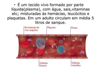 • É um tecido vivo formado por parte
líquida(plasma), com água, sais,vitaminas
etc; misturadas às hemácias, leucócitos e
plaquetas. Em um adulto circulam em média 5
litros de sangue.
 