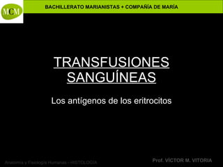 TRANSFUSIONES SANGUÍNEAS Los antígenos de los eritrocitos 