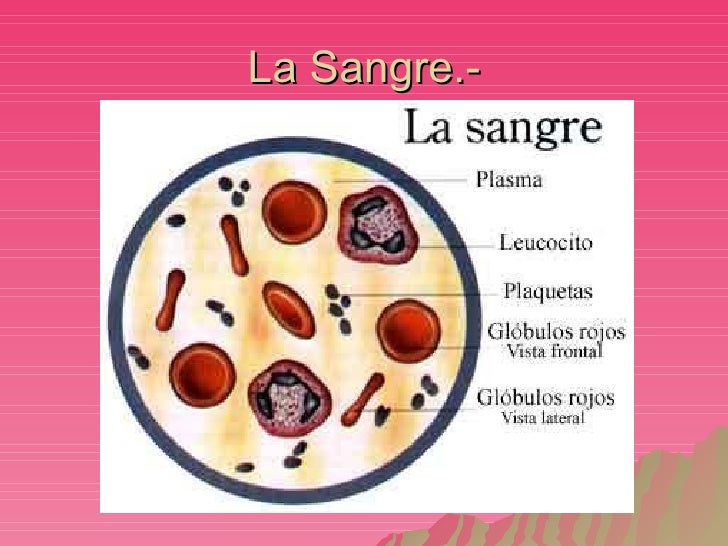 Si hay unas hortalizas esto se puede adelgazar