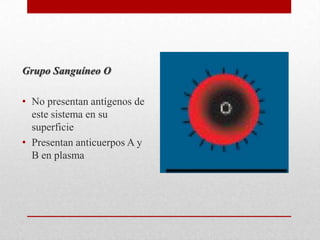 Grupo Sanguíneo O
• No presentan antígenos de
este sistema en su
superficie
• Presentan anticuerpos A y
B en plasma

 