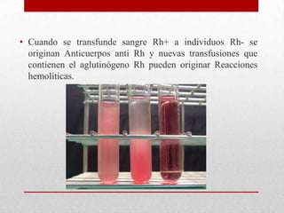 • Cuando se transfunde sangre Rh+ a individuos Rh- se
originan Anticuerpos anti Rh y nuevas transfusiones que
contienen el aglutinógeno Rh pueden originar Reacciones
hemolíticas.

 