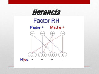 Herencia

 