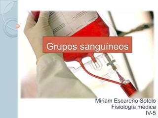 Grupos sanguíneos
Miriam Escareño Sotelo
Fisiología médica
IV-5
 