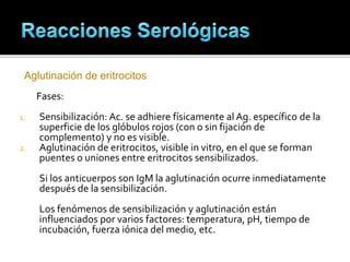 Aglutinación de eritrocitos
Fases:
1. Sensibilización: Ac. se adhiere físicamente al Ag. específico de la
superficie de los glóbulos rojos (con o sin fijación de
complemento) y no es visible.
2. Aglutinación de eritrocitos, visible in vitro, en el que se forman
puentes o uniones entre eritrocitos sensibilizados.
Si los anticuerpos son IgM la aglutinación ocurre inmediatamente
después de la sensibilización.
Los fenómenos de sensibilización y aglutinación están
influenciados por varios factores: temperatura, pH, tiempo de
incubación, fuerza iónica del medio, etc.
 