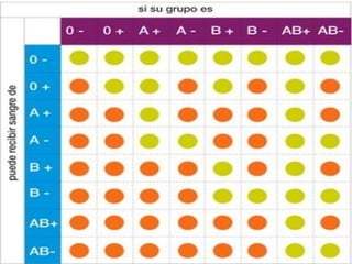 Grupos sanguíneos 2