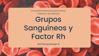 Grupos
Sanguíneos y
Factor Rh
Morfofisiopatología III
Universidad Nacional Experimental
"Francisco de Miranda"
 