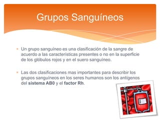 Grupos sanguíneos y | PPT