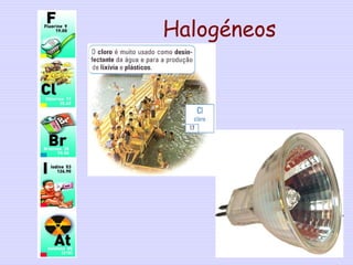Halogéneos
14