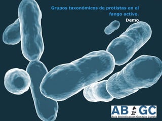 Grupos taxonómicos de protistas en el
fango activo.
Demo
 