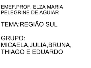 EMEF.PROF. ELZA MARIA
PELEGRINE DE AGUIAR

TEMA:REGIÃO SUL

GRUPO:
MICAELA,JULIA,BRUNA,
THIAGO E EDUARDO
 