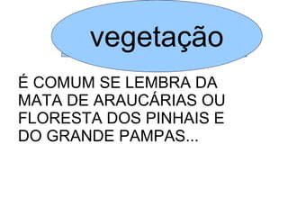 vegetação
É COMUM SE LEMBRA DA
MATA DE ARAUCÁRIAS OU
FLORESTA DOS PINHAIS E
DO GRANDE PAMPAS...
 