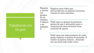 Trabalhandoem
Grupos
Separar
a turma
em
grupos
de no
mínimo
3 alunos
e no
máximo
5
Explicar para todos que,
provavelmente as plantas terrestres
vieram do meio aquático.
Pedir para os grupos levantarem
pontos do que é necessário para a
conquista do meio terrestre (sem
material de apoio).
Pedir para um representante de cada
grupo explicar os pontos levantados. E
anotar os pontos comuns , deixando
em um local onde todos veem.
 