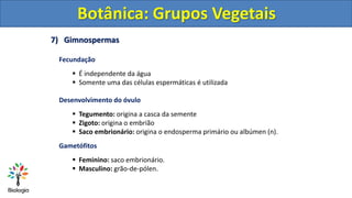 7) Gimnospermas
Botânica: Grupos Vegetais
Fecundação
 É independente da água
 Somente uma das células espermáticas é uti...
