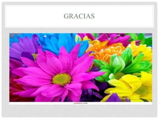 GRACIAS
 