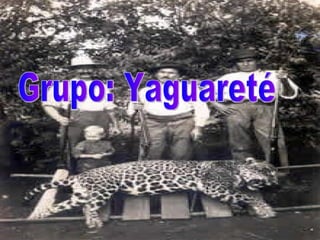 Grupo: Yaguareté 