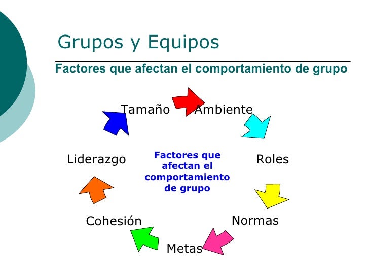 Grupoy equipo