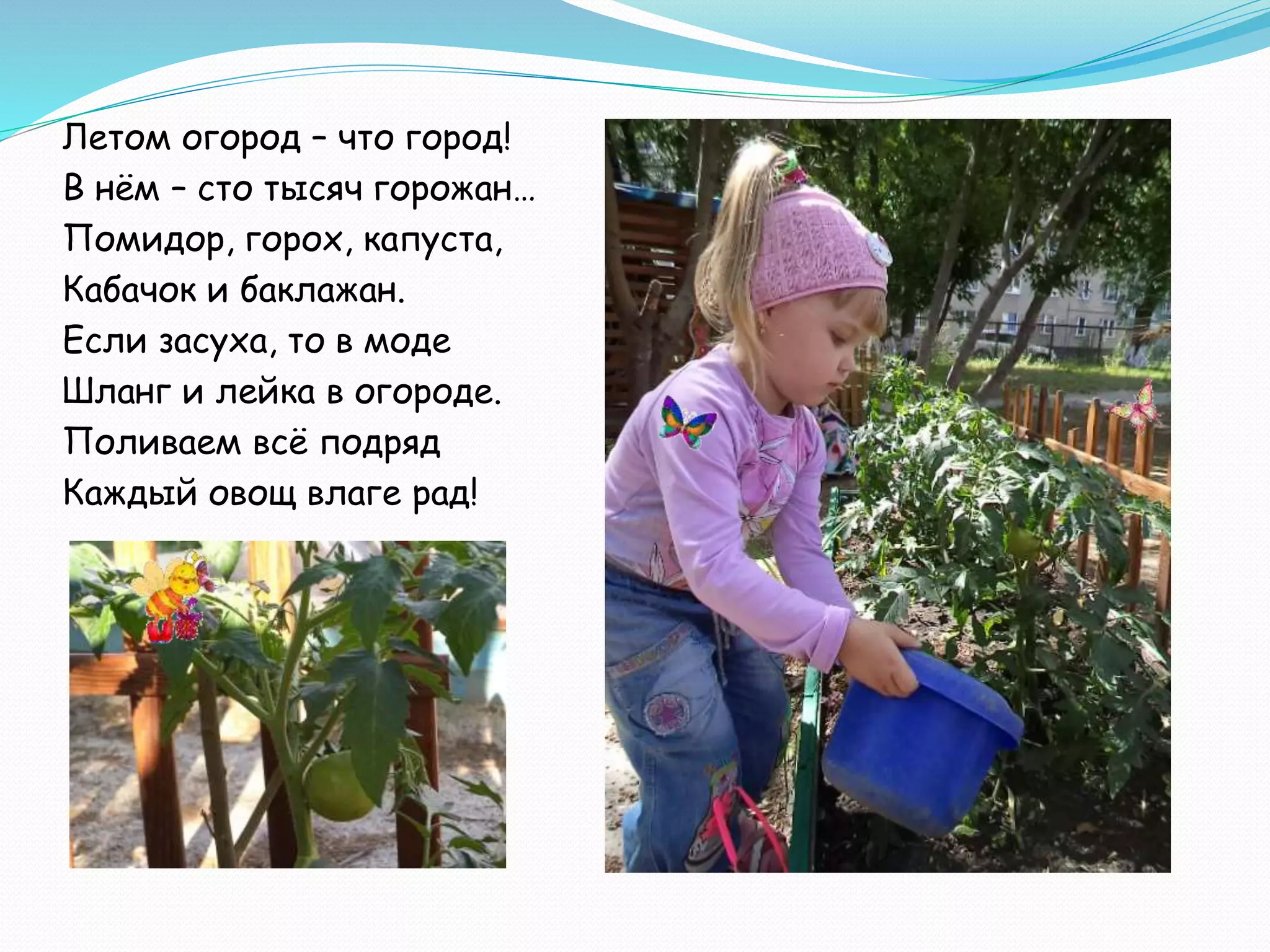 Летом огород – что город!
В нём – сто тысяч горожан…
Помидор, горох, капуста,
Кабачок и баклажан.
Если засуха, то в моде
Шланг и лейка в огороде.
Поливаем всё подряд
Каждый овощ влаге рад!
 