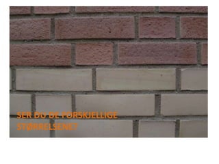 SER DU DE FORSKJELLIGE STØRRELSENE?