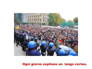 Ogni giorno ospitano un lungo corteo.
 