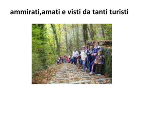 ammirati,amati e visti da tanti turisti
 