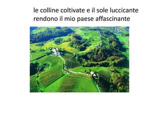 le colline coltivate e il sole luccicante
rendono il mio paese affascinante
 
