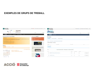 EXEMPLES DE GRUPS DE TREBALL
 