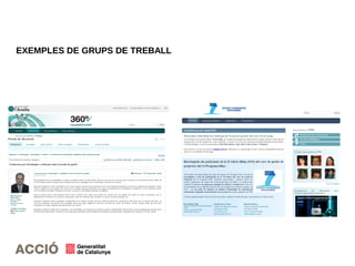 EXEMPLES DE GRUPS DE TREBALL
 