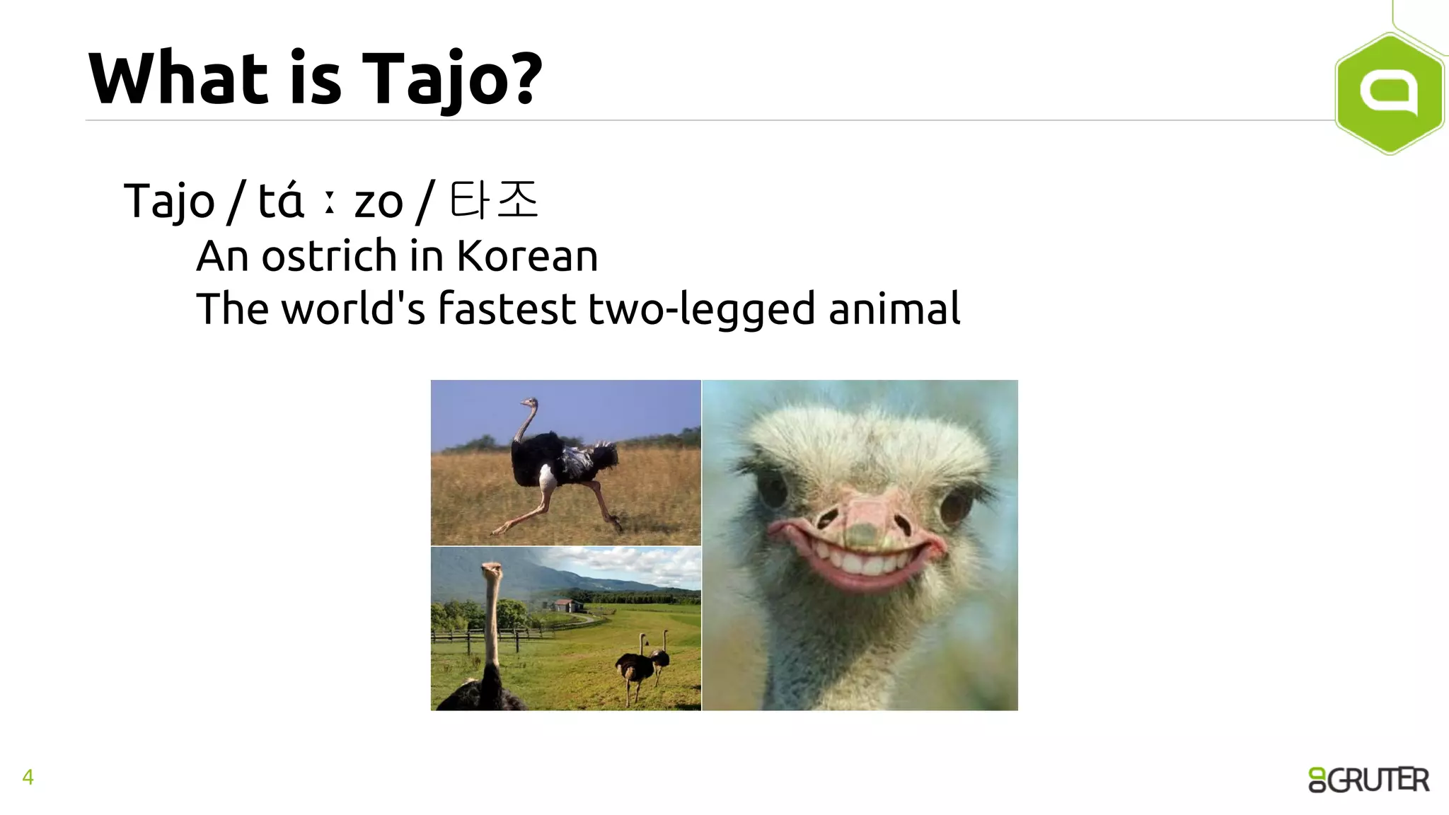 What is Tajo?
Tajo / tάːzo / 타조
An ostrich in Korean
The world's fastest two-legged animal
4
 