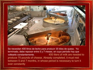 Se necesitan 400 litros de leche para producir 35 kilos de queso.  Ya terminado, debe reposar entre 5 y 7 meses, en cuyo período hay que voltearlo constantemente. .  400 liters of milk are needed to produce 70 pounds of cheese. Already completed, it must rest between 5 and 7 months, in whose period is necessary to turn it over constantly 