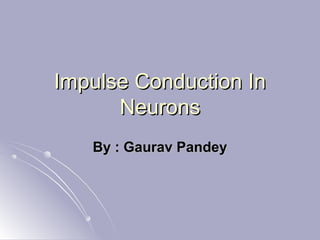 Impulse Conduction InImpulse Conduction In
NeuronsNeurons
By : Gaurav PandeyBy : Gaurav Pandey
 