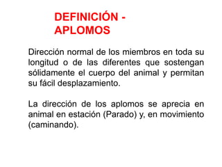 DEFINICIÓN -
APLOMOS
Dirección normal de los miembros en toda su
longitud o de las diferentes que sostengan
sólidamente el cuerpo del animal y permitan
su fácil desplazamiento.
La dirección de los aplomos se aprecia en
animal en estación (Parado) y, en movimiento
(caminando).
 