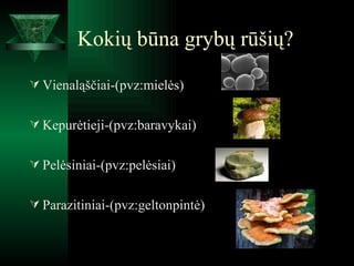 Kokių būna grybų rūšių? Vienaląščiai-(pvz:mielės) Kepurėtieji-(pvz:baravykai) Pelėsiniai-(pvz:pelėsiai) Parazitiniai-(pvz:geltonpintė) 