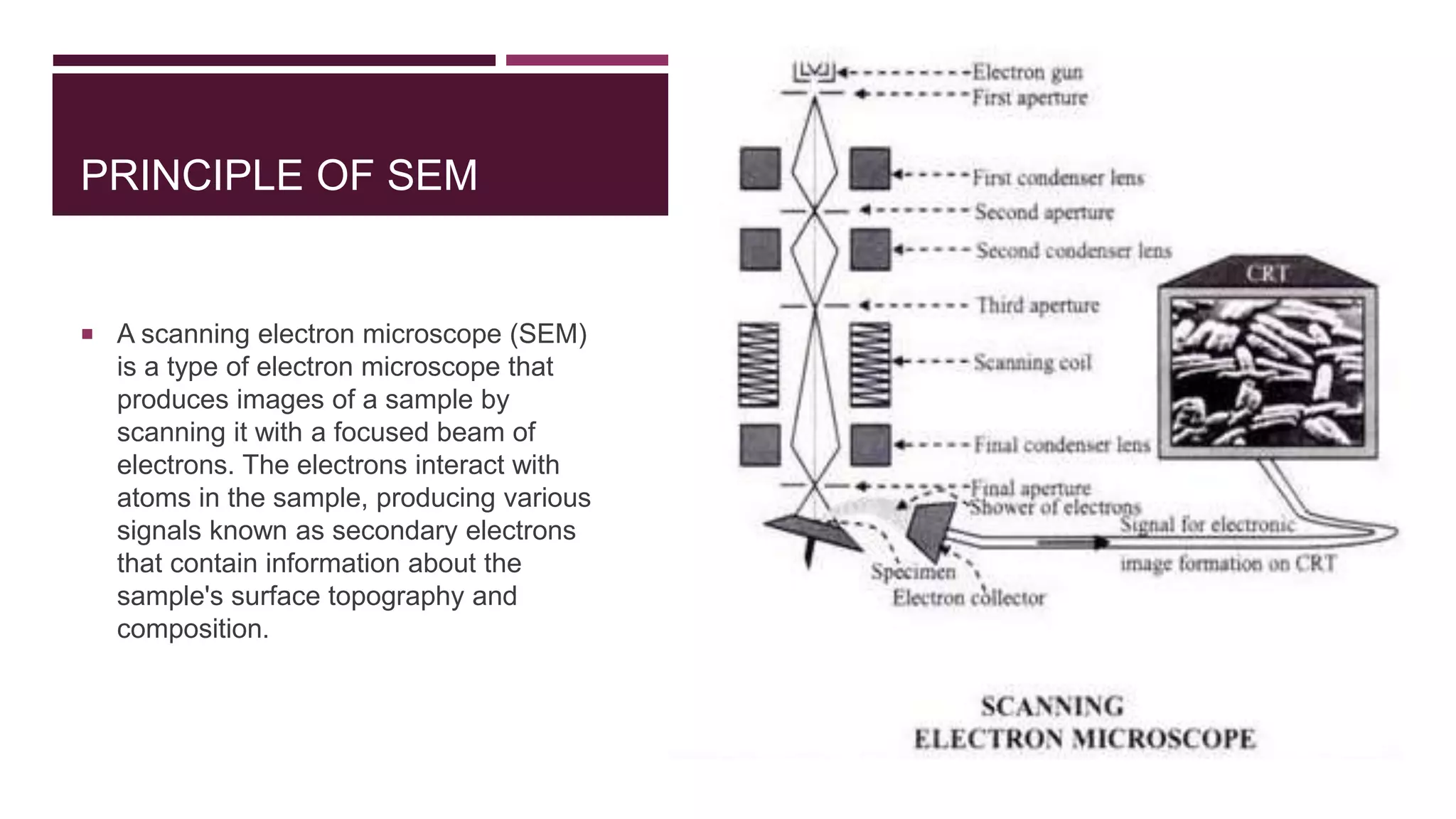 PRINCIPLE OF SEM
 A scanning electron microscope (SEM)
is a type of electron microscope that
produces images of a sample by
scanning it with a focused beam of
electrons. The electrons interact with
atoms in the sample, producing various
signals known as secondary electrons
that contain information about the
sample's surface topography and
composition.
 