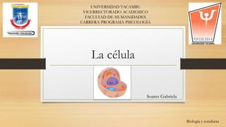 La célula
Soares Gabriela
Biología y conducta
UNIVERSIDAD YACAMBU
VICERRECTORADO ACADEMICO
FACULTAD DE HUMANIDADES
CARRERA-PROGRAMA PSICOLOGÍA
 