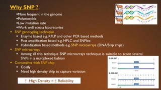 Genomic Selection in dairy cattle breeding -An overview | PDF