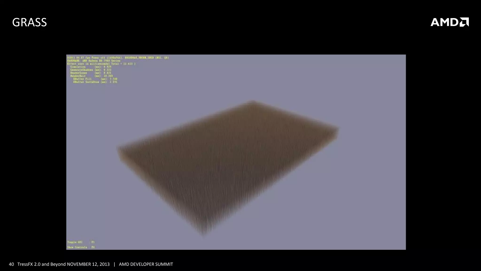 GRASS

40 TressFX 2.0 and Beyond NOVEMBER 12, 2013 | AMD DEVELOPER SUMMIT

 