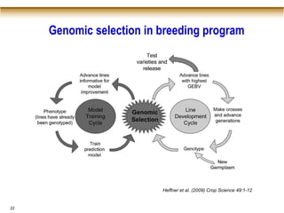 Genomic selection (GS) in crop improvement | PPTX