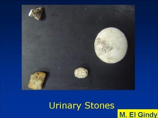 General surgery instruments