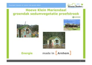Duurzaam bouwen en wonen met groene daken



           Hoeve Klein Mariendaal
     groendak sedumvegetatie proefstrook




               Energie                      made in   [Arnhem]
                                                                 1
 
