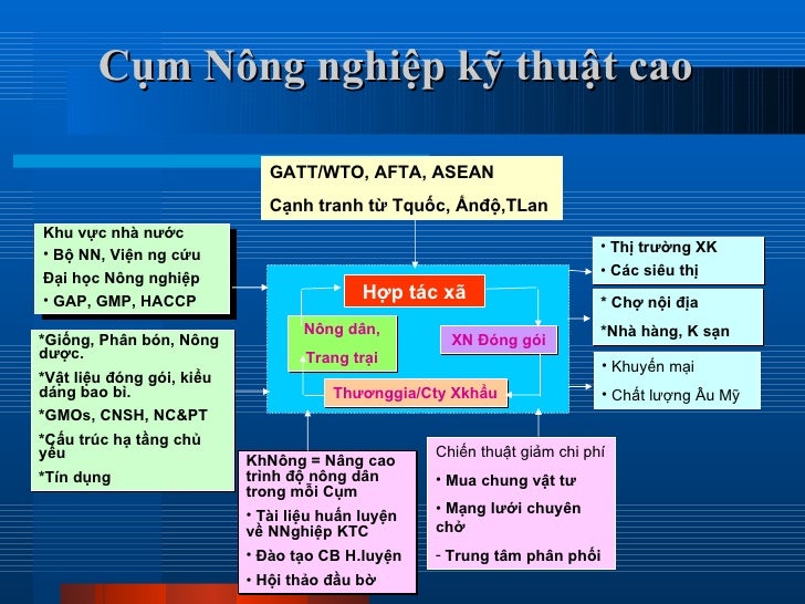 Gs. vo tong xuan agu