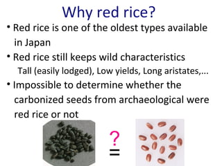 Estimating Crop Yields of Rice During Yayoi Period by Experimental ...